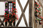 Timbered House, Rue Champeaux, Chartres, Eure-Et-Loir (28), France