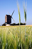 Windmill Near Wheat Fields, Moutiers-En-Beauce, Eure-Et-Loir (28), France