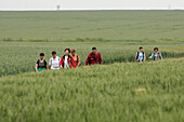 Transbeauce Race Of Chartres , Orgeres-En-Beauce, Eure-Et-Loir (28), France