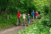 Excursion With The Family In The Forest Of The Perche, Valley Of The Cloche, Region Of Nogent-Le-Rotrou, Eure-Et-Loir (28), France