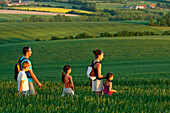 Family Promenade In The Wheat Fields And Bocages Of The Perche, Collines De Rougemont, Perche Near Nogent-Le-Rotrou, Eure-Et-Loir (28), France