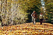 Walkers On A Carpet Of Autumn Leaves In The Forest Of Senonches, Eure-Et-Loir (28), France