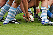 Rugby Match, Aviron Bayonnais/ Pau, Basque Country, Basque Coast, Bayonne, Pyrenees-Atlantique (64), France