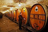 Historic Wine Cellar Of The Hospices De Strasbourg, Strasbourg, Bas Rhin (67), Alsace, France, Europe