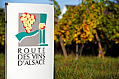 Road Sign, Alsace Wine Road, Haut-Rhin (68), Alsace, France