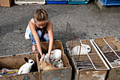 Little Girl In The Pet Market With Dwarf Rabbits And Poodles, The Market In Harfleur Near Le Havre, Seine-Maritime (76), Normandy, France