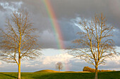 Rainbow Over The Trees At The National Golf Course Of Guyancourt, Yvelines (78), France