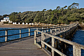Pier On The Des Dames Beach In Front Of The La Chaize Woods, Isle Of Noirmoutier, Vendee (85), France