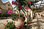 Garden At The Monastery Of Moni Arcadiou, Crete, Greece