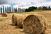 Bales Of Straw (Round Baller), Tuscan Landscape, Montalcino Region, Tuscany, Italy