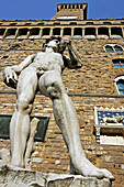 Statue De David De Michel Ange Devant Le Palazzo Vecchio, Piazza Della Signoria, Florence, Toscane, Italie