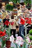 Florist'S Stall 'Firma Straats', Tulip Specialist, Flower Market, Amsterdam, Netherlands