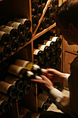 Wine Cellars Of The V, Restaurant Du Palas Le Georgev, Paris (75)