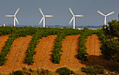 Wind Turbines On The Outskirts Of Rivesaltes, Pyrenees Orientales (66)