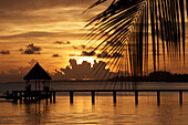 Sunset Over The Lagoon Of Rangiroa With A Coconut Palm Leaf In The Foreground, Kia Ora Hotel, Island Of Rangiroa, Tuamotu Islands, French Polynesia