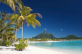 Man-Made Beach At The Saint-Regis Hotel, Island Of Bora Bora, Leeward Islands, French Polynesia