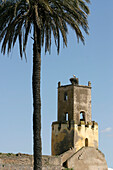 Stork Nesting On The Tower Of The Moura Castle, Alentejo, Portugal