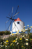 Windmill In The Typical Colours Of Portugal, Odemira, Alentejo