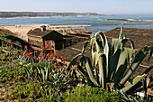 The Beach, Vila Nova Das Milfontes, Alentejo, Portugal