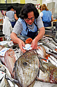 Fish Market, Mercado Municipal De Campo De Ourique, Portugal, Europe