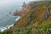 Cabo Da Roca (Rocky Cape), Steep Cliff 150 Meters High, The Westernmost Point Of Europe, Portugal