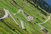 Serpentine, Stelvio National Park, Trentino-Alto Adige/South Tyrol, Italy