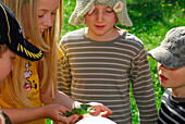 Children looking at something on a leaf, Bavarian Alps, Upper Bavaria, Bavaria, Germany