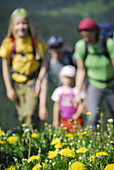 Hikers, dandelion in foreground, Bavarian Alps, Upper Bavaria, Bavaria, Germany