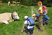 Kinder betrachten Kuh, Bayerische Alpen, Oberbayern, Bayern, Deutschland