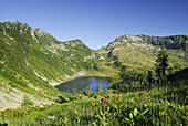 Mountain lake Lago Alzasca, Ticino range, Ticino, Switzerland