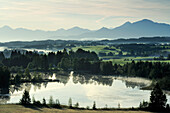 Schwaigsee mit Ammergauer Alpen im Hintergrund, Oberbayern, Bayern, Deutschland