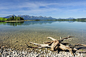 Lake Forggensee with Tannheim range in background, Allgaeu, Bavaria, Germany