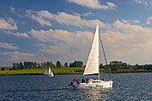 Sailing boats on the Lake Rynskie (Jezioro Rynskie), Mazurskie Pojezierze, East Prussia, Poland, Europe