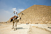 Kameltreiber vor Cheops Pyramide, Aegypten, Kairo