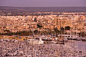 Blick vom Castell de Bellver auf Hafen, Stadt und Kathedrale La Seu in der Abenddämmerung, Palma, Mallorca, Balearen, Spanien, Europa