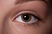 eye of a woman, close up