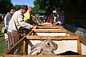 Pferde- und Hobbytiermarkt in Burgdorf, Verkaufsstand mit Kaninchenstall , Käfige, Verkäufer, Verkaufsstand, Kaninchen, Rammler, Wiese