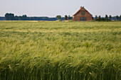 fields of grain, barley, barn, northern Germany