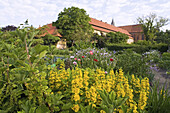 Cloister garden, Mariensee abbey, Neustadt am Rübenberge, Lower Saxony, Germany