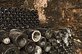 champagne sparkling wine, sekt bottles, shelf storage, in cellar, Schloss Landestrost, Neustadt am Rübenberge, Lower Saxony, Germany