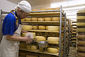 cheese production, Adolphshof near Lehrte, Hannover, Lower Saxony, Germany