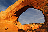 Mountainbiker, Wilson Arch, Moab, Utah, USA, MR