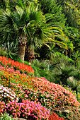 Italian garden, Villa Carlotta, Tremezzo, Lake Como, Lombardy, Italy