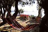 Hammock and cafe at the north beach between trees, Parikia, island of Paros, the Cyclades, Greece, Europe