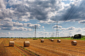 Electricity Pylon and Wheat Field, Munich, Bavaria, Germany