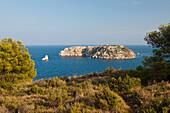 Medes Inseln an der Costa Brava, Katalonien, Spanien