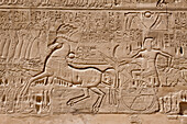Wall Relief at Karnak Temple, Luxor, Egypt