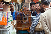 Men looking at birds in a cage, Bird Market, Shanghai, China, Asia