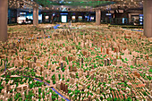 Model of the city of Shanghai at urban planning museum, Shanghai, China, Asia