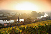 View over vineyards Volkach-Koehler, Franconia, Bavaria, Germany